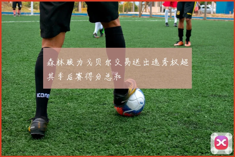 森林狼为戈贝尔交易送出选秀权超其季后赛得分总和